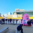 １２月１９日（金）にオープンしたソウル市庁前の特設アイススケート場！さっそく、週末に行ってきました！