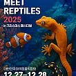 12/27～12/28★アクアリウム、爬虫類に出会う in クリスマスフェスティバル＠SETEC