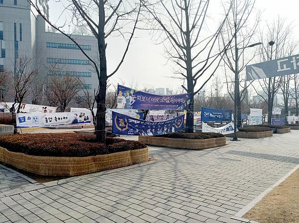 正門から進むと、通りの両側に卒業をお祝いする垂れ幕がずあらり~。