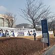 もう恒例になりましたが、毎年この時期になると、垂れ幕だらけになります~。