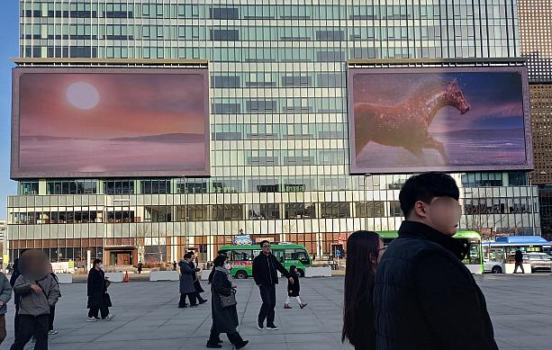 光化門の映像には日の出と馬が１年の始まりを連想させます~。