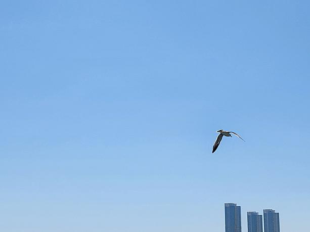 お天気が良い春の釜山！