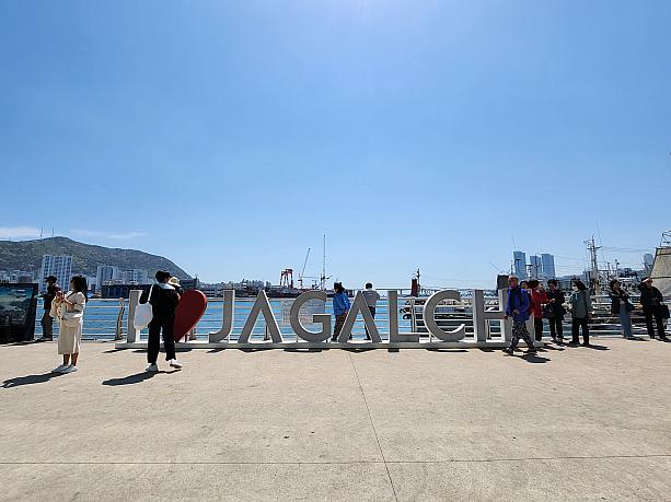 写真を撮ったり！