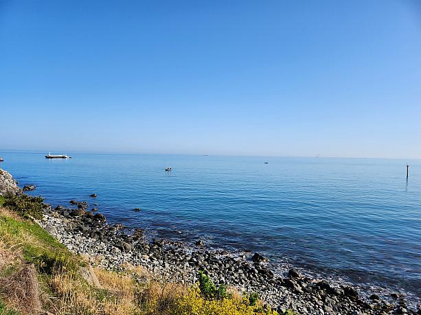 散歩しているだけで、癒されます