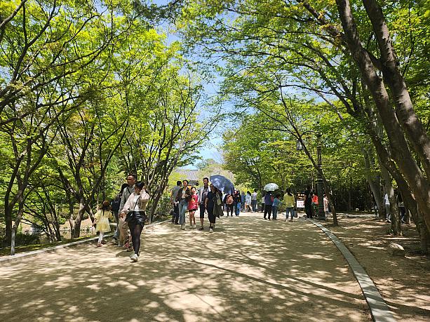 キレイな景色が続きます。