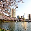 漢江の南側の桜名所といえば、石村湖！夜はライトアップするので、すごい人出で賑わんです。
<br>ちなみに、昨年ここ石村湖の桜祭りに訪れた人は約862万人!
