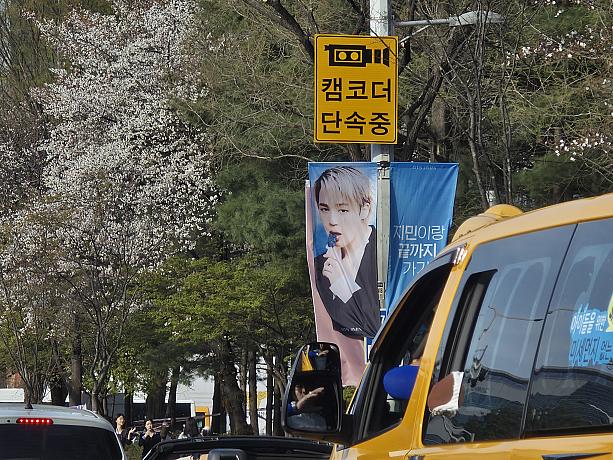 街のあちこちにはメンバーを応援する横断幕が♡