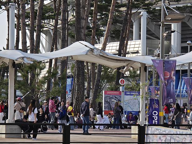 本当に楽しいコンサートになりますように！♡♪