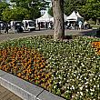 ゲート前の花壇もきれいにお手入れされて、とってもキレイ～♪