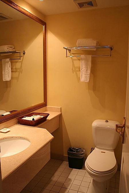 バスルーム内の設備はツイン／ビジネスルームと同じです。