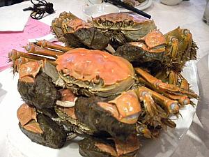 時期によっては上海蟹も食べられます。