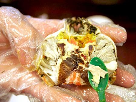 8. これは蟹の心臓なんですよ。ほかにも上海蟹は雑食ですので胃の中には虫などが入っていることもあります。心臓や胃は絶対に食べないでください！
