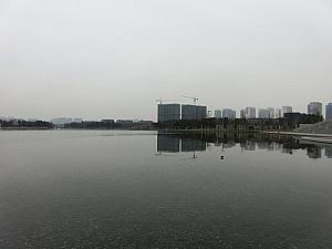 遠香湖のまわりは公園になっています。釣りをしている人も