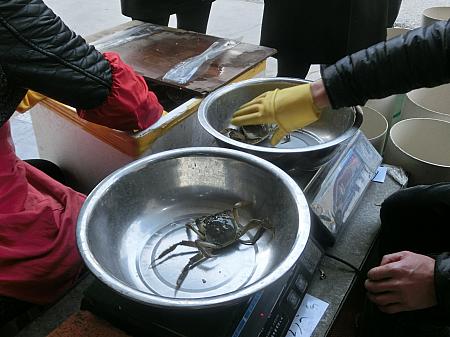 上海蟹の仕分け作業