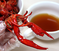 夏の風物詩「食用ザリガニ」、早くも登場！ -「復茂龍蝦」