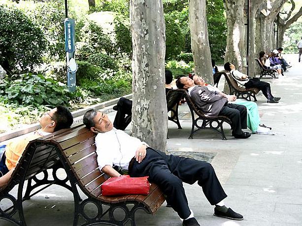 早くも真夏のような強い日差しが照りつける上海、公園の木陰のベンチは満席状態。中国では昼食後にお昼寝をする習慣があるんですよ。