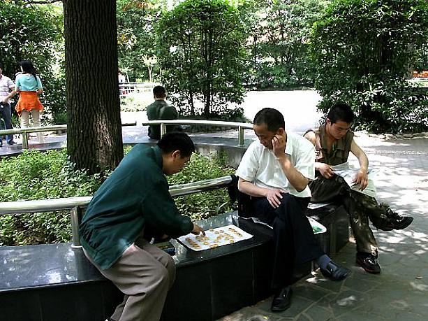 公園遊びの定番、将棋をしている人たちもいれば・・・