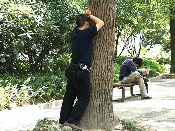 木と語り合う人も・・・。何かつらいことでもあったんでしょうか。