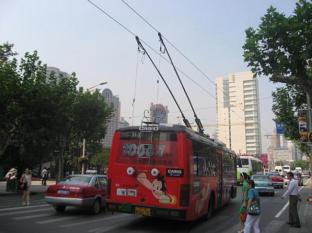 たまに電線に木の枝がひっかかって立ち往生しているバスも見かけます。