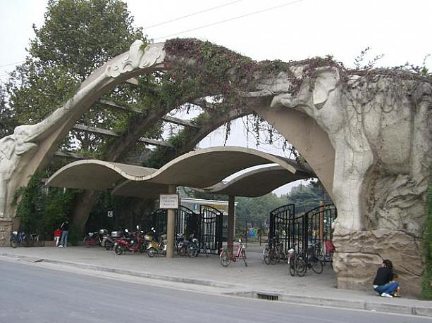 上海動物園 虹橋路 上海ナビ