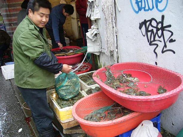 シーズン真っ盛りの今、蟹は上海の家庭の食卓にしょっちゅう上る食材です。「安くしとくよ〜」とお兄さん。