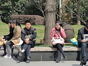 上海人はひなたぼっこが好き。