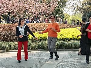 朝の公園も大賑わい。