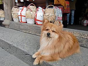 日なたは暑いくらいです。