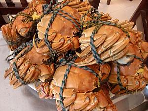 下旬になると上海蟹が入荷するお店も。