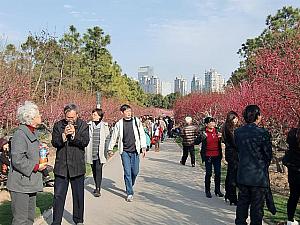 公園は観光客でいっぱい。