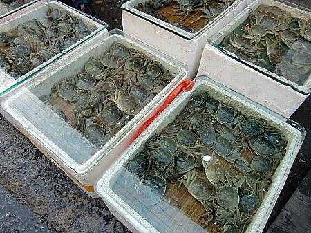 上海蟹は市場で買って自宅で蒸すのが上海人スタイル