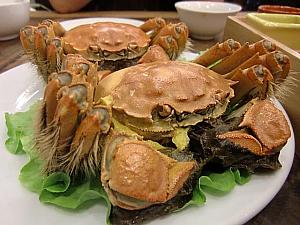 上海蟹が旬