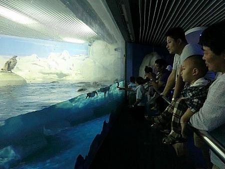 たっぷり遊べる「上海海洋水族館」