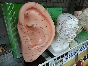 耳つぼ模型（30元〜）