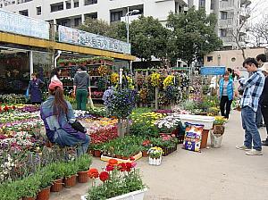 園芸やお花好きなら花市場へ
