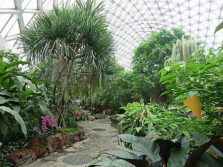 「辰山植物園」の巨大温室