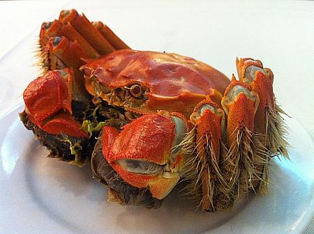 上海蟹の季節突入