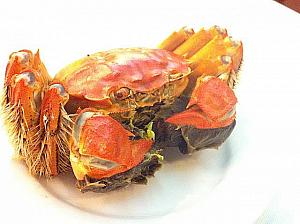 下旬から上海蟹シーズン突入
