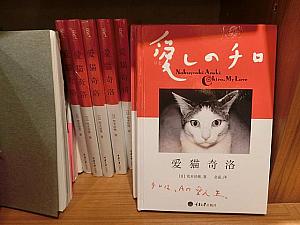 中国語翻訳版の日本の本も写真集なら楽しめます