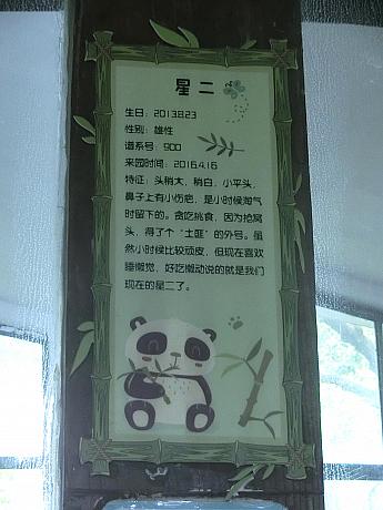 動物園のパンダ舎には、各パンダのプロフィール表が貼ってあります。「星二」って、日本人の名前みたい……