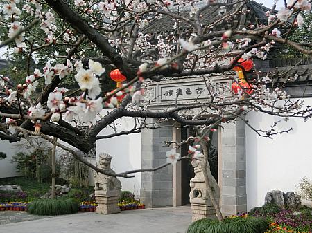 「曲水園」は上海の奥座敷といった雰囲気