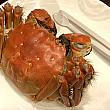 ナビの「今年イチおいしかった上海蟹のお店」は「瑞華樟園」