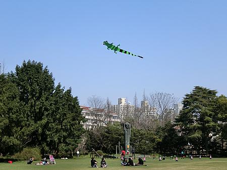 広い芝生広場で凧揚げ
