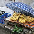 雨の日のバナナ屋さん
