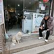 犬と対話するおじさんがいたり。上海市内にいながらにして旅行気分が味わえます