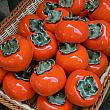 陶器の柿