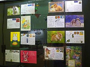 世界から届いたウサギの切手とハガキ
