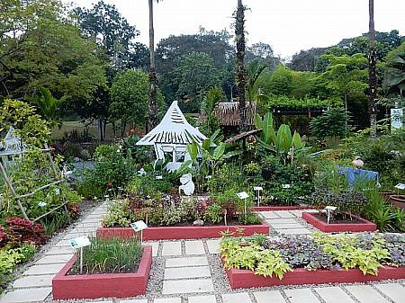 東南アジアらしいバリ風庭園やペットボトルを使った展示など新しいアイデアに出会えます。