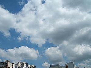 雲が多くて蒸し暑いと思っていたら、