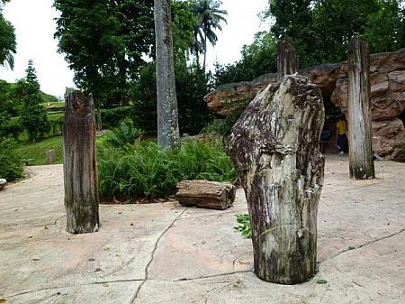 エボリューション・ガーデン入口に立つ、木の化石